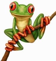Tree Toad Consulting